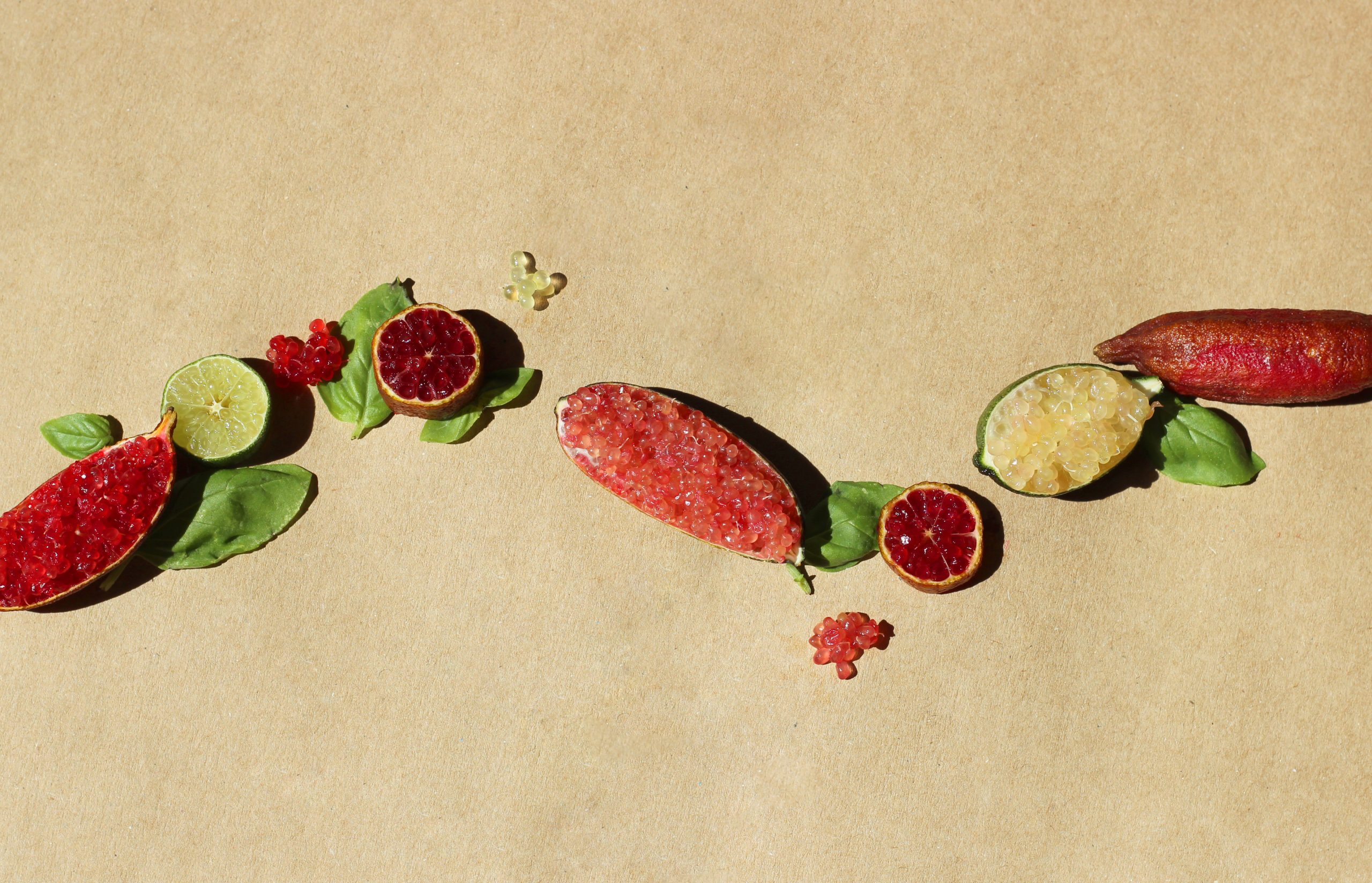 Transgourmet annonce un partenariat avec Fruits at Home