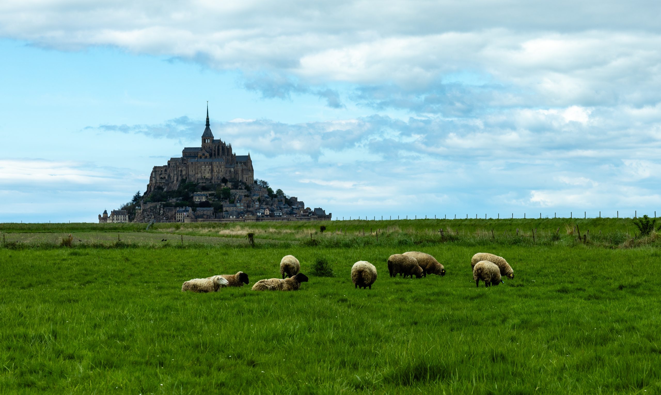 Le Groupe La Mère Poulard rouvre la Taverne du Mouton Blanc dans un esprit renouvelé