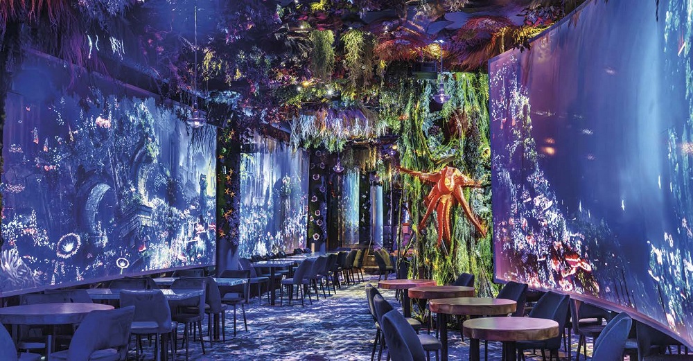 Under the Sea : Toute la magie de l’océan