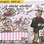 Carte blanche à Félé Novembre 2025