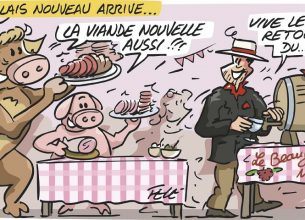 Carte blanche à Félé Novembre 2025