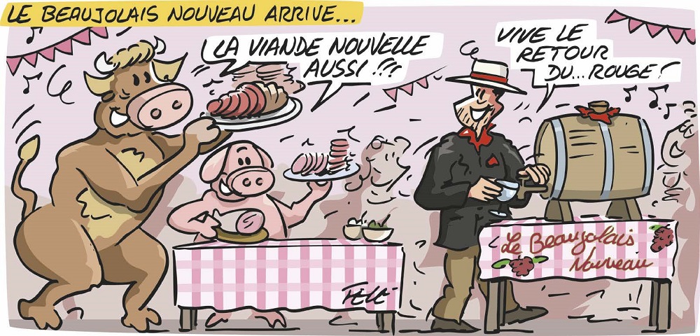 Carte blanche à Félé Novembre 2025