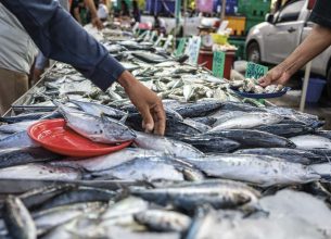 [Point de vue] Développement durable en restauration : un choix opportuniste ou une conviction engagée ?