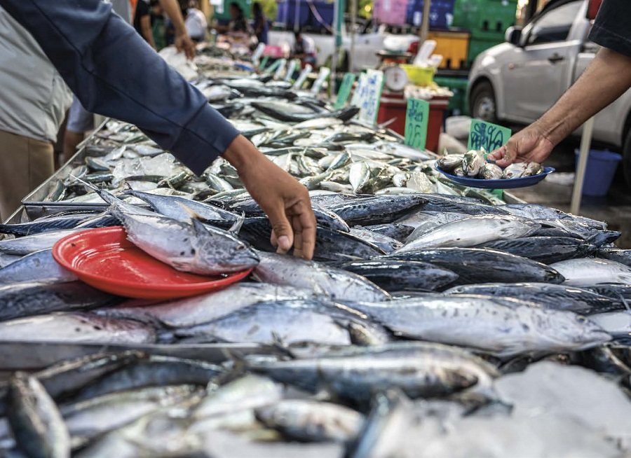 [Point de vue] Développement durable en restauration : un choix opportuniste ou une conviction engagée ?