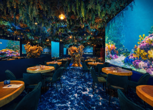 Ephemera Group s&rsquo;installe à Montpellier avec « Under The Sea »