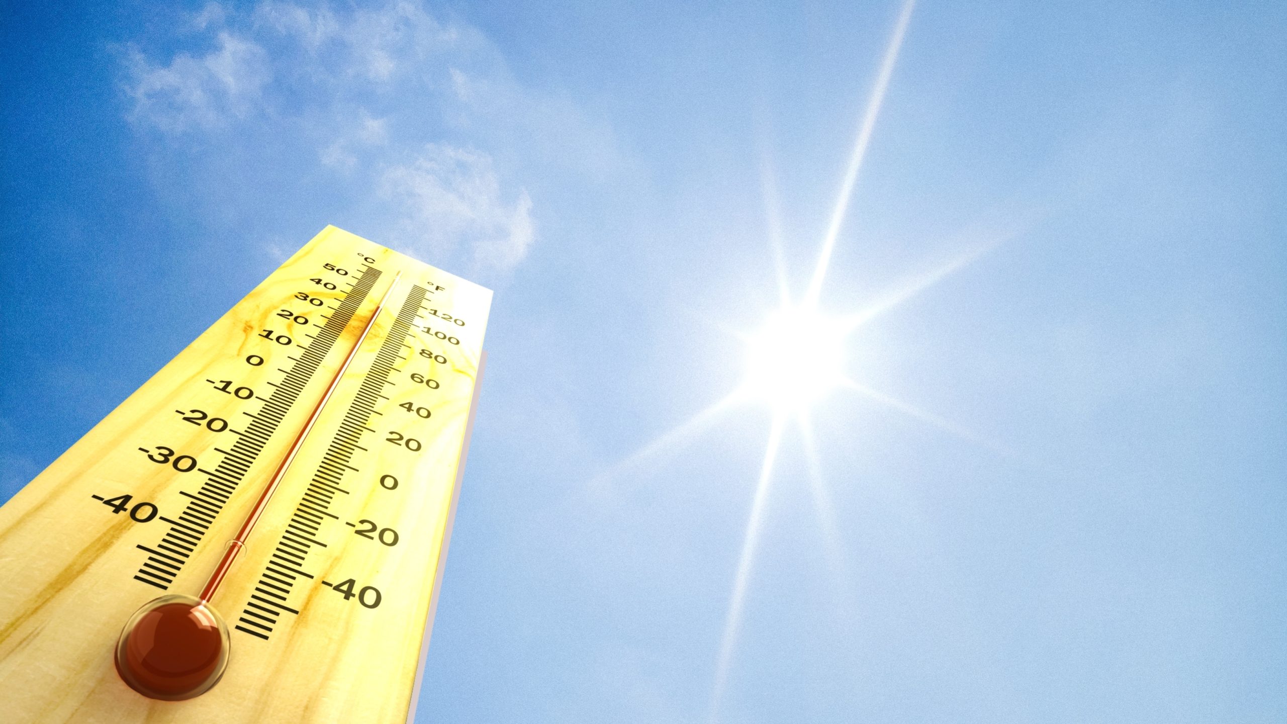 Canicule : la restauration fait preuve de résilience, selon Lightspeed